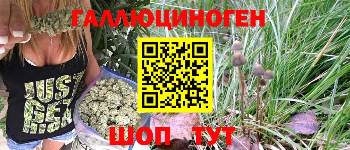 Псилоцибиновые грибы MAGIC MUSHROOMS Стрежевой